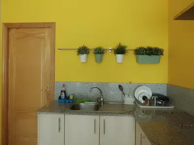a kitchen with a sink and potted plants on the wall at Hostal Caracas in Lalín