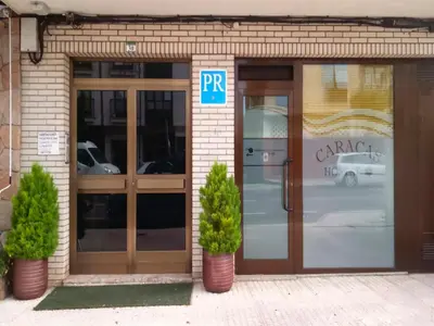 a entrance to a car dealership with two potted plants in front at Hostal Caracas in Lalín