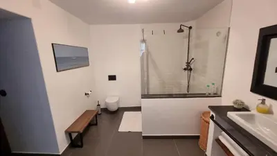a bathroom with a shower and a toilet and a sink at Precioso apartamento con patio centro de Castropol in Castropol