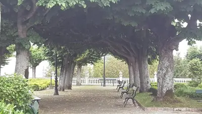 a row of trees with benches in a park at Precioso apartamento con patio centro de Castropol in Castropol