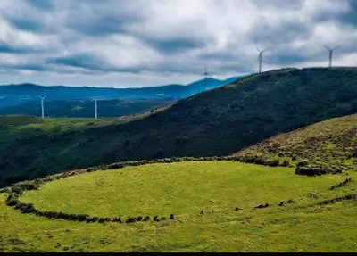 a group of animals grazing in a field on a hill at Arca de Noé in Valle de Oro