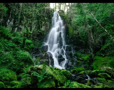 a waterfall in the middle of a forest at Arca de Noé in Valle de Oro