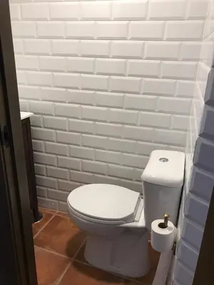 a white toilet in a bathroom with white brick walls at Mis antepasados in Murias de Pedredo