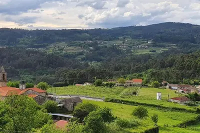 a small village in a green field with trees at Casa Vallejo en Crecente in Crecíente