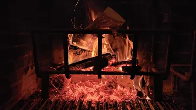 a fire in a brick oven with ice in it at Pension Parrilla Casa Vicente in Tineo