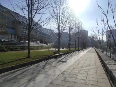 a park with benches and trees on a sidewalk at Con vistas al puente del Milenio y plaza de garaje in Ourense