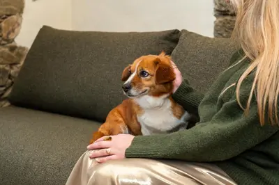 a woman sitting on a couch with a dog at A Rectoral de Seadur in Seadur