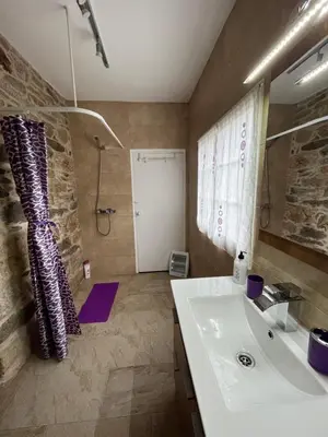 a bathroom with a sink and a shower at Refuxio Da Mina in Leborey