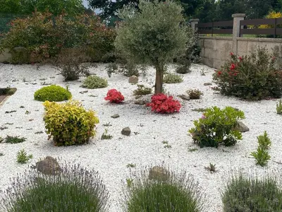 a garden with a tree and flowers in the sand at Casa do alpendre in Ourense