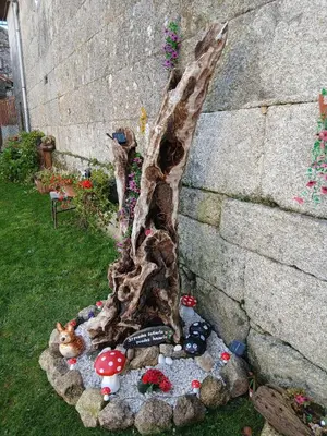 a garden with a pond with flowers and mushrooms at A Feitiña de Rubiacós in Rubiacós