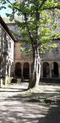 a tree sitting in front of a building with a building at A Feitiña de Rubiacós in Rubiacós