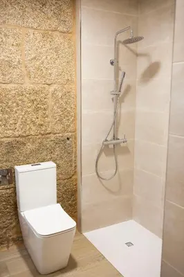 a bathroom with a toilet and a shower at La Molinera Casa Rural - Ribeira Sacra in Ourense