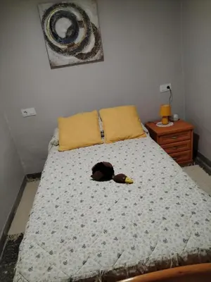 a dog laying on a bed in a bedroom at Casa Engracia in Arcos