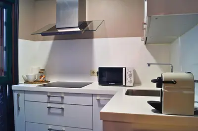 a kitchen with a sink and a microwave at YourHouse Ourense Bello 1 Loft in Ourense