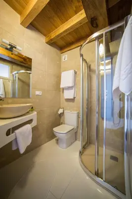 a bathroom with a shower and a toilet and a sink at Casa Juancito in Santiago de Compostela
