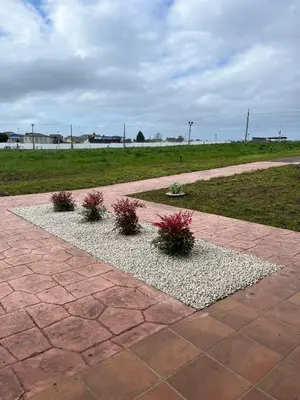 two plants on a walkway with a field in the background at Apartamentos Playa Frejulfe in Paderne