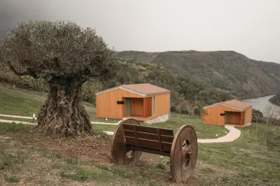 a park bench next to a tree and a house at Cabañas Ribeira Sacra in Parada del Sil
