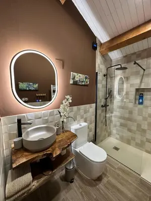 a bathroom with a toilet and a sink and a shower at Casa Camu in Covelo