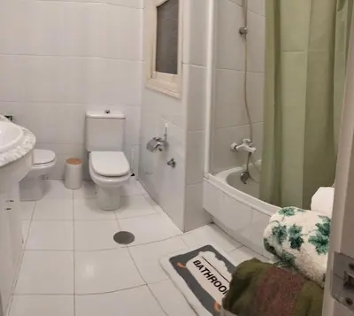 a bathroom with a toilet and a shower and a sink at Piso Bonhome in Ourense