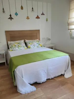 a bedroom with a large bed with a green blanket at Besbello Suites - Estudio in Santiago de Compostela
