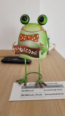 a toy frog is sitting on top of a piece of paper at Besbello Suites - Estudio in Santiago de Compostela