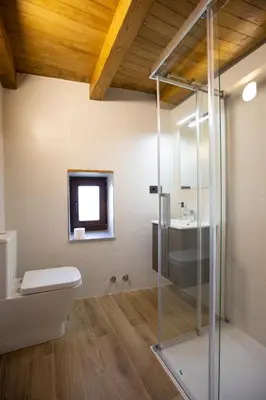 a bathroom with a shower and a toilet and a sink at Refuxio de Lamas in Becerreá