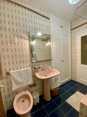 a bathroom with a pink toilet and a sink at Parque de los Condes in Monforte de Lemos