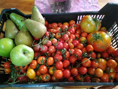 a basket full of tomatoes and other fruits and vegetables at Casa dos ánxeles VUT-OR-1310 in Trasmiras
