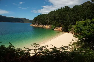 a view of a beach with people in the water at Playa a Rapadoira - Foz in Foz