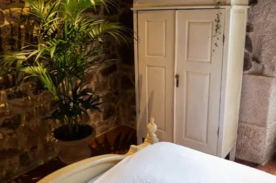 a bedroom with a white door and a potted plant at Casal de Armán in Camporredondo
