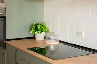 a kitchen counter with two potted plants on it at A Paradiña de Sarria in Sarria