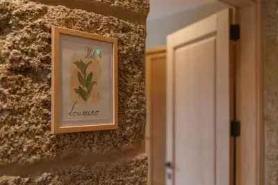 a picture of a plant on the side of a wall at Casa San Blas in Verín