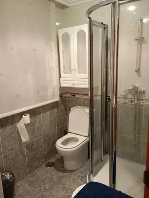 a bathroom with a toilet and a glass shower at Piso ABELEDO in Sarria