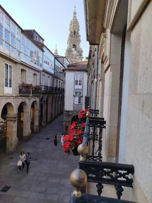 a view of a street with buildings and red flowers at Pensión 5 Caminos in Santiago de Compostela