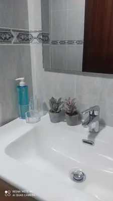 a bathroom sink with potted plants and a mirror at Piso céntrico en Padrón in Padrón