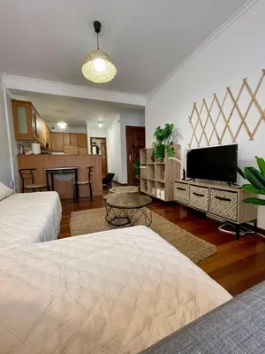 a living room with two beds and a flat screen tv at Apartamento Cardenal Monforte in Monforte de Lemos