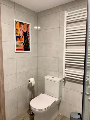 a bathroom with a toilet and a picture of a cat at Cos pés en Palas in Palas de Rei