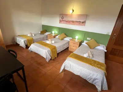 three beds in a room with green walls at Pensión Codesal in O Pedrouzo