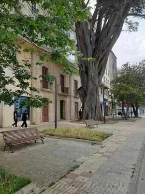 a park with a bench and a large tree at Apartamento cerca del centro, y la playa in Viveiro