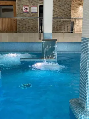 a dog is in a swimming pool at Apartamento Herosa 2 Spa in San Miguel de Reinante