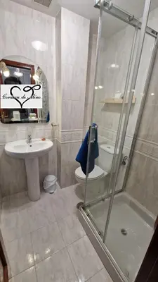 a bathroom with a shower and a toilet and a sink at Apartamento CORAZÓN DE MIÑO in Miño