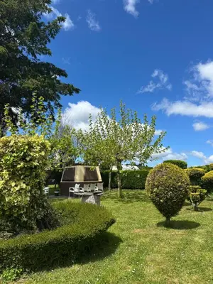 a grill in a yard with trees and bushes at A casa de Carmen in Sarria