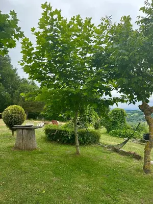 a picnic table in a field with two trees at A casa de Carmen in Sarria