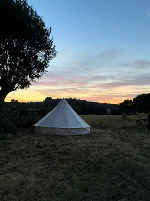 a white tent in a field with a tree at A casa de Carmen in Sarria