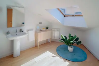 a bathroom with a sink and a potted plant at ÁTICO CON VISTAS Centro Histórico in Allariz