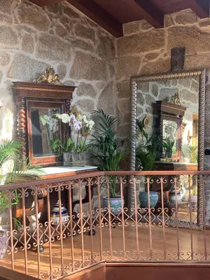 a room with two mirrors and plants on a table at Hotel Rústico San Jaime in Ourense