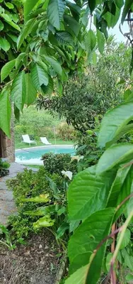 a pool with two white chairs in a garden at Hotel Rústico San Jaime in Ourense
