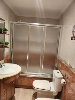 a bathroom with a shower and a toilet and a sink at SayCa CREDENCIAL in Sarria
