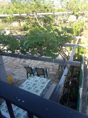 a balcony with two chairs and a table and a tree at Casa Nodar in Chantada