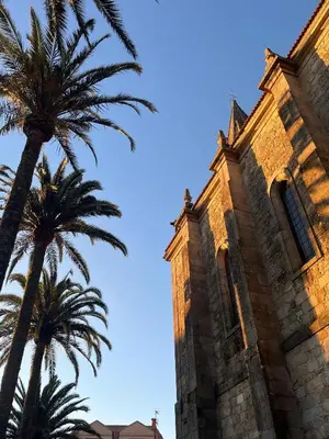 a building with two palm trees in front of it at O Victoriano in Caldas de Reis